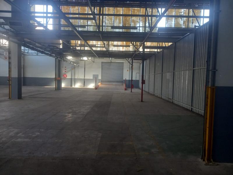 To Let commercial Property for Rent in North End Eastern Cape